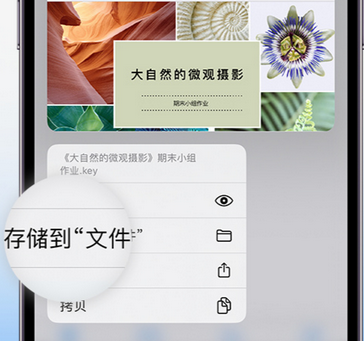 广宗apple维修中心分享iPhone文件应用中存储和找到下载文件