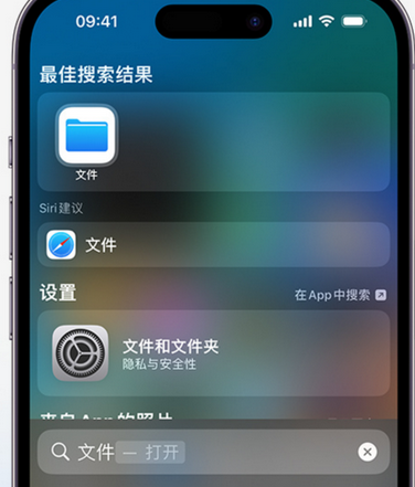 广宗apple维修中心分享iPhone文件应用中存储和找到下载文件