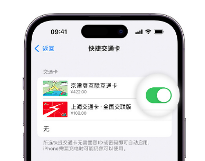 广宗apple维修点分享iPhone上更换Apple Pay快捷交通卡手绘卡面 