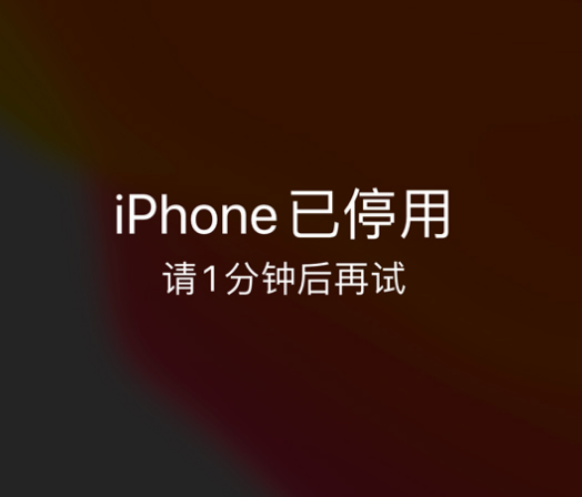 广宗苹果手机维修分享:iPhone 显示“不可用”或“已停用”怎么办？还能保留数据吗？ 