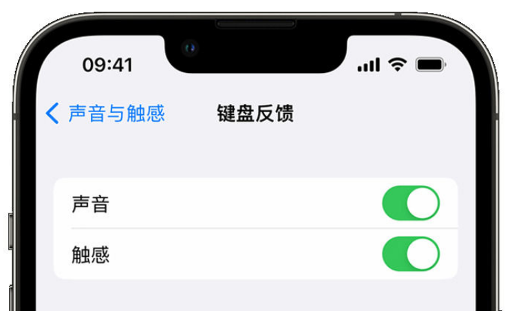 广宗苹果手机维修分享iPhone 14触感键盘使用方法 