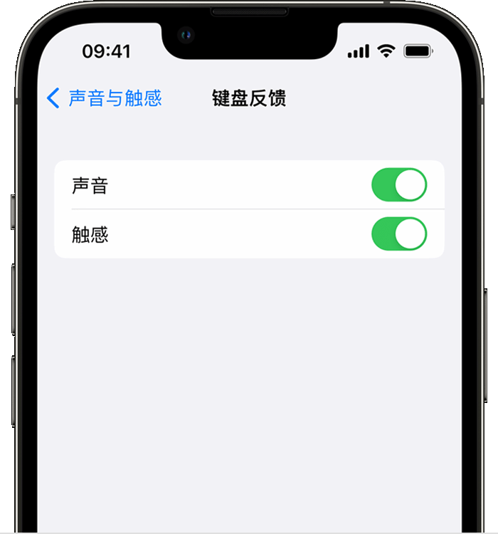 广宗苹果14维修店分享如何在 iPhone 14 机型中使用触感键盘 