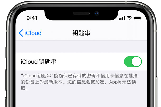 广宗苹果手机维修分享在 iPhone 上开启 iCloud 钥匙串之后会储存哪些信息 